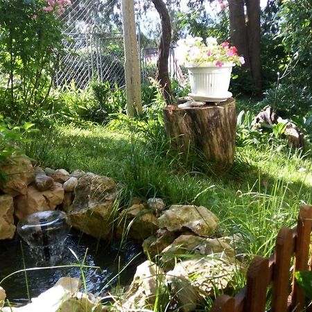 Belivanovi B&B House Veliko Tărnovo Exteriör bild