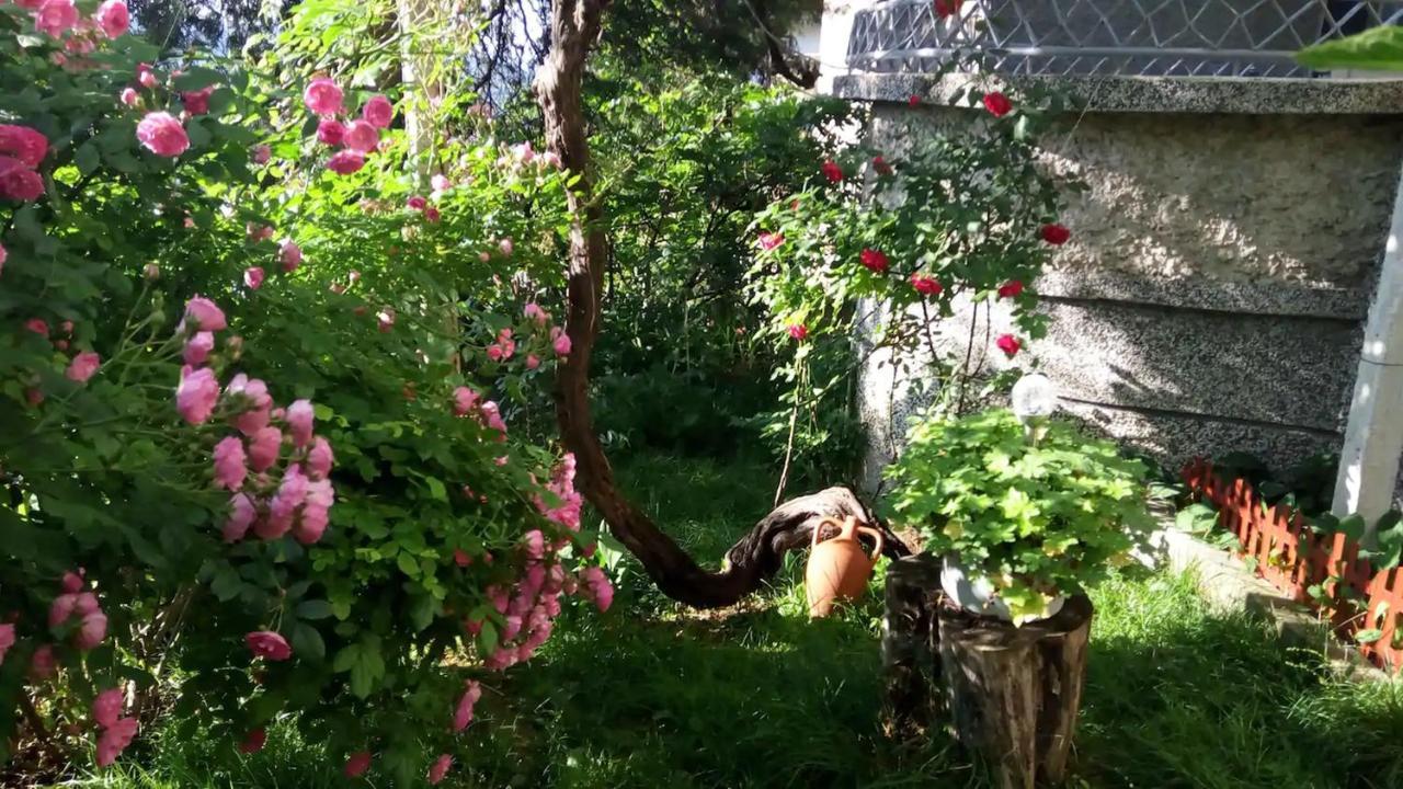 Belivanovi B&B House Veliko Tărnovo Exteriör bild