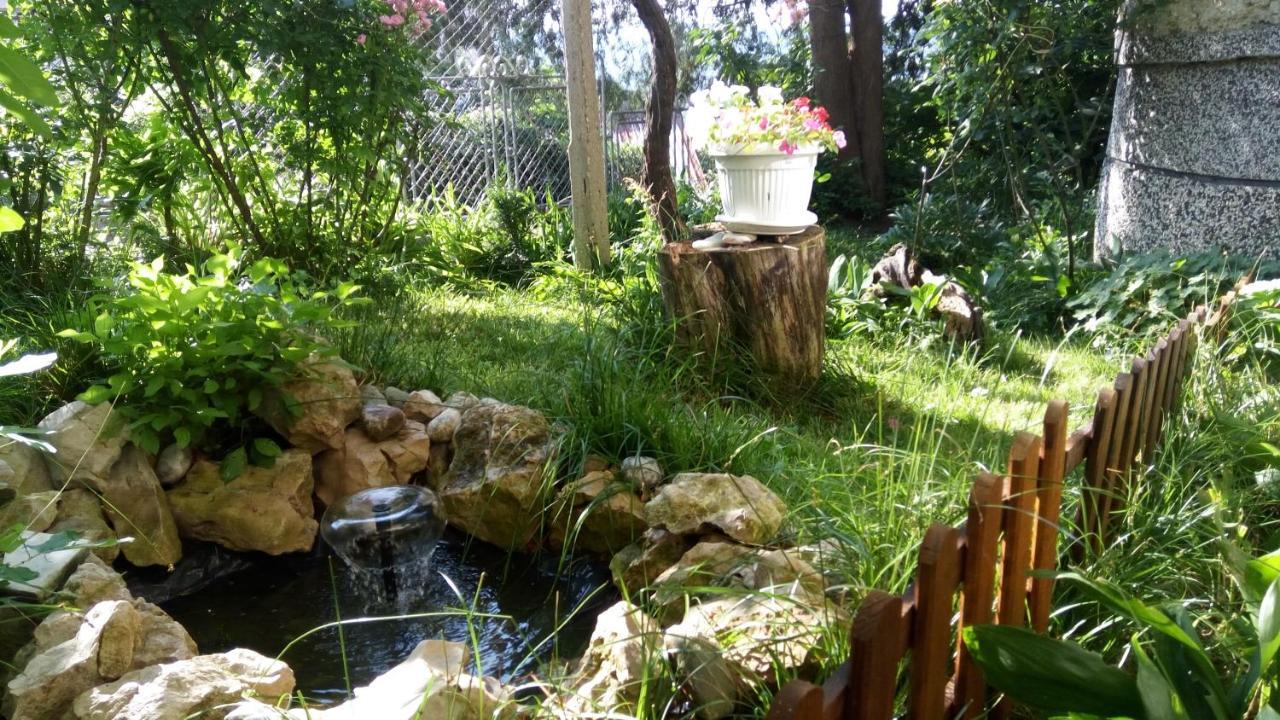 Belivanovi B&B House Veliko Tărnovo Exteriör bild