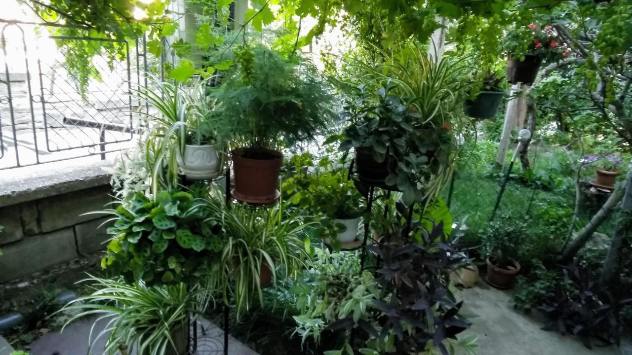 Belivanovi B&B House Veliko Tărnovo Exteriör bild